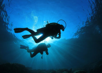 How IoT trackers can fight poachers